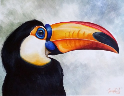 Study of a Toucan
